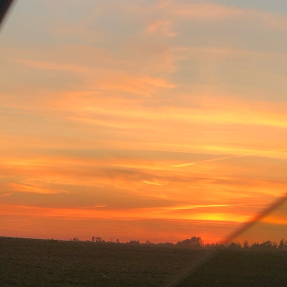 Meet your Posher, Amber - Picture 1 of 1